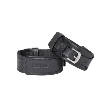 Picture for category Accessories